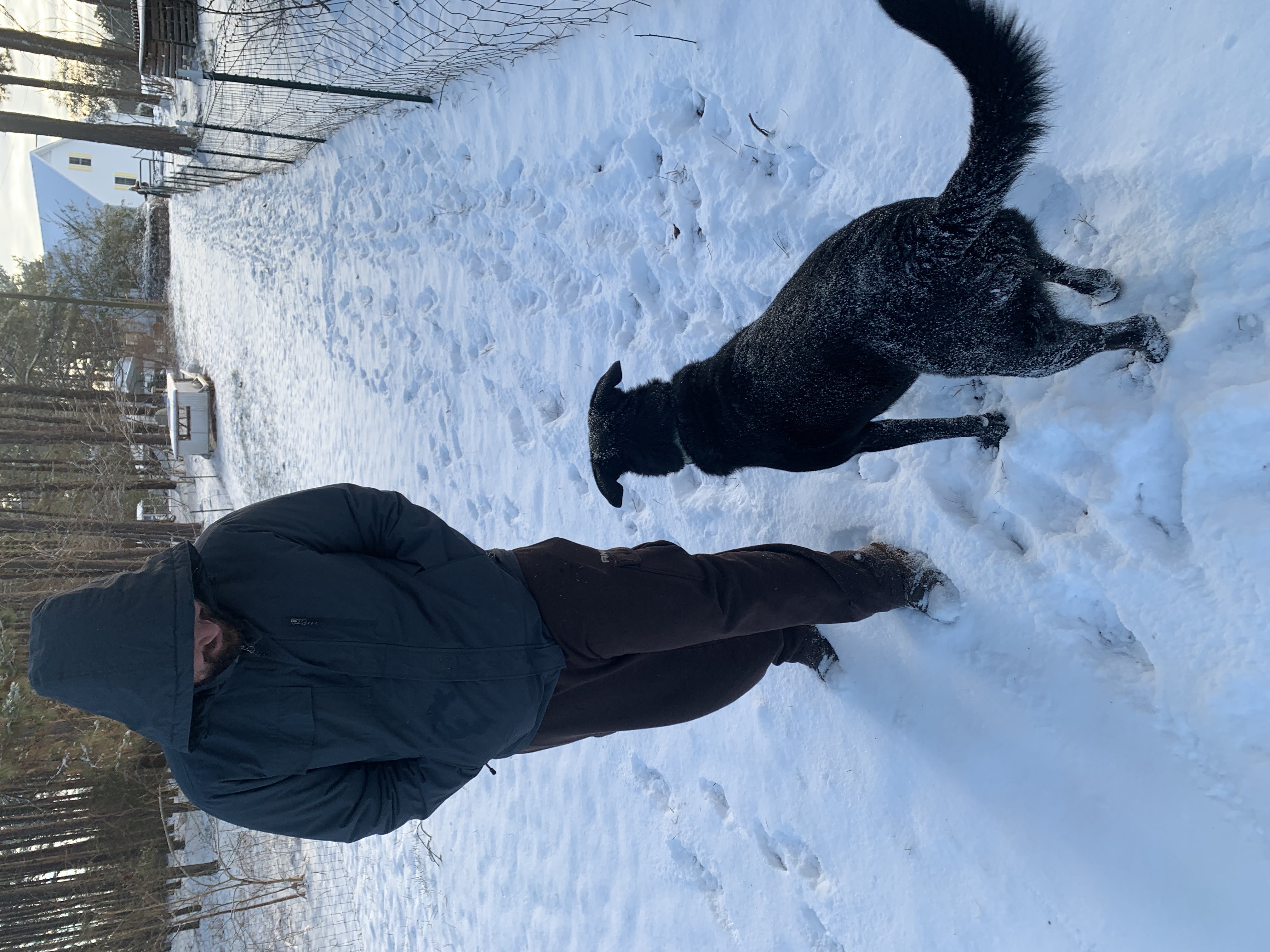 Snowday